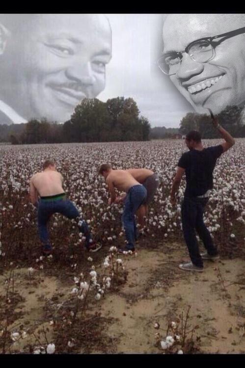 fyeahlilbit3point0:  thorinmyside:  luckythinks91:  thorinmyside:  wheres that picture of the white boys picking cotton and the black kid with the whip i think and mlk jr in the sky smiling    ur right we can’t let mlk have all the fun here hold on