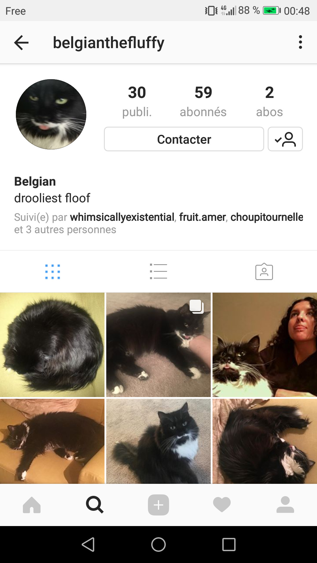 maghrebutch:  go follow this beautiful cat blease