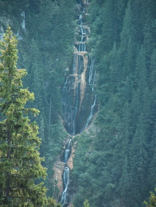 horses waterfall, maramures, romania