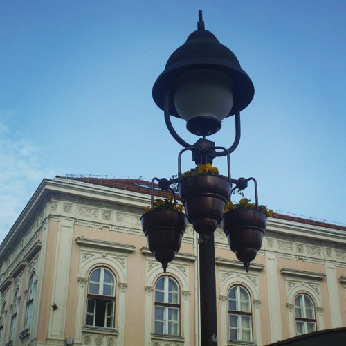 Walking at #knezmihailova #street #beograd #Belgrade #city #Serbia #flowers #architecture #sky #walk