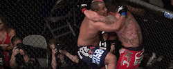 Amazing knee to the body from the clinch against the cage.