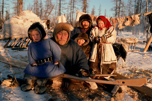 nubbsgalore:for over a thousand years, the indigenous nenets have moved seasonally with their reinde