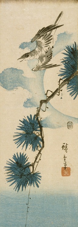 Cuckoo and Pine Tree with Full Moon, Hiroshige, ca. 1844