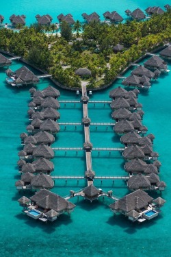 KW, this is my dream place to go&hellip;the Maldives