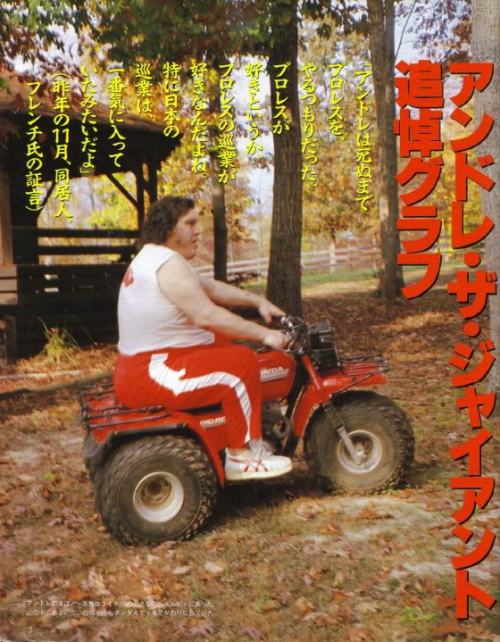 氷の涯