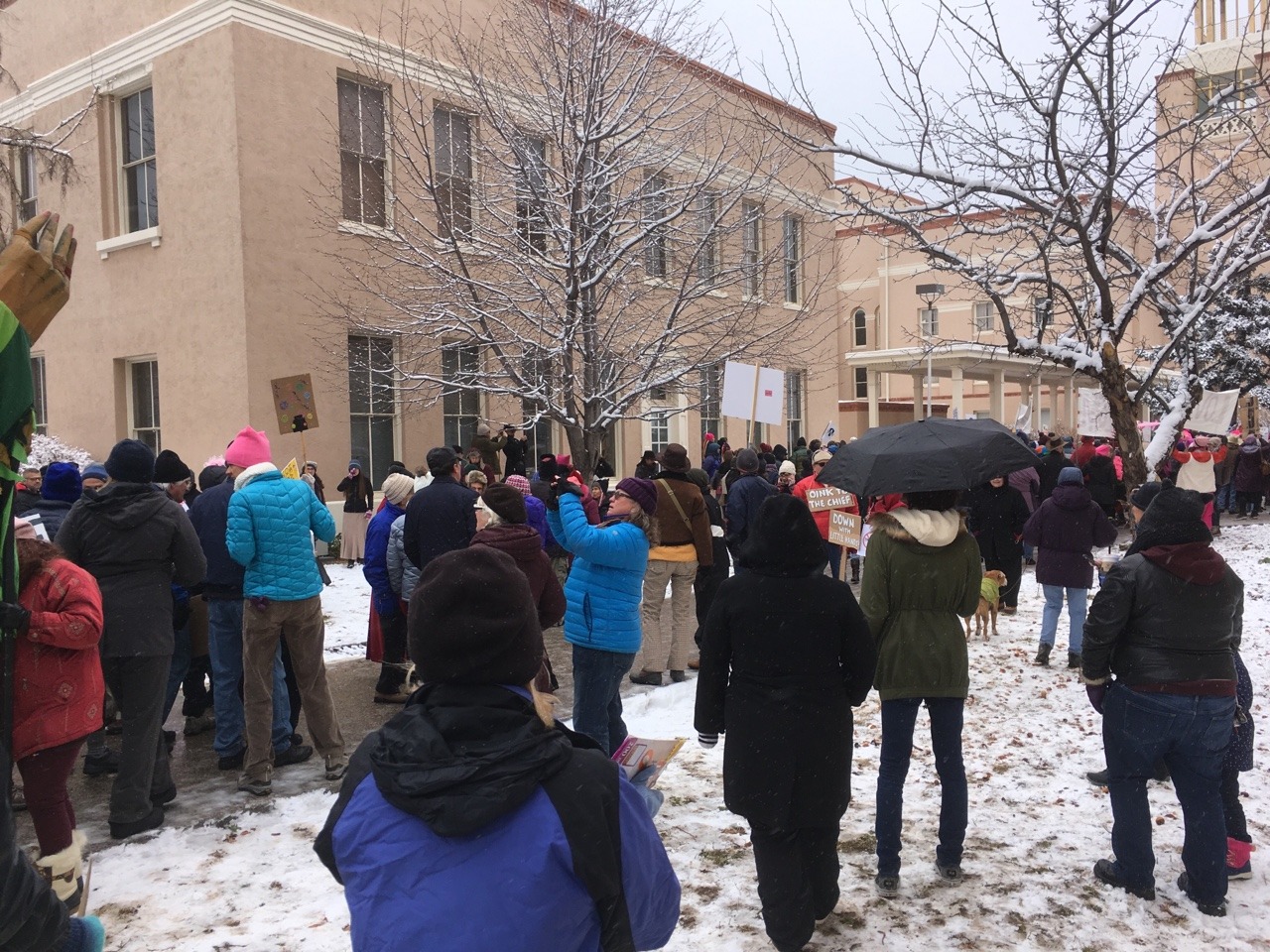 doctornsara:Went and joined my local million woman march.