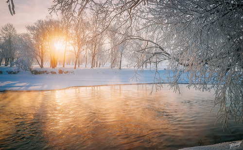 These amazing photos of snowy trees in Mongolia are by Khishigtogtokh Tushig. You can see more of Tu