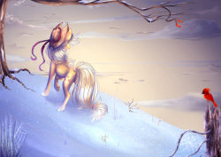 dysfunctionalequestria:Winter Fields by Petrinox