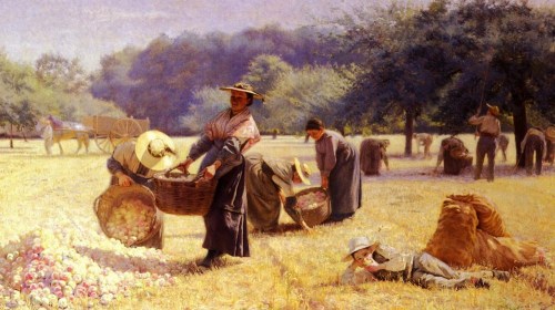 La Vendange De Pommes (The Apple Harvest) Istres Contencin 1893