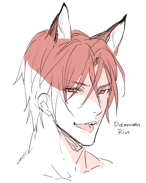 johanndro:  Dog AU