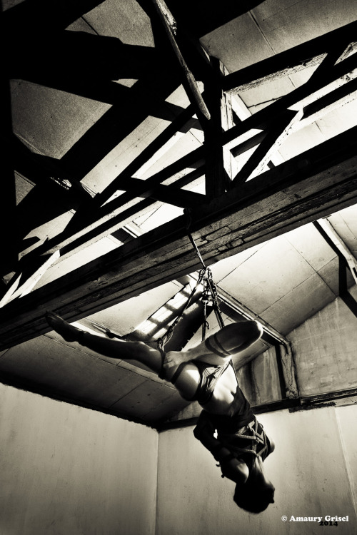 bondageisnotacrimeparis:  sous le toit modele Lou corde et photo Amaury Grisel