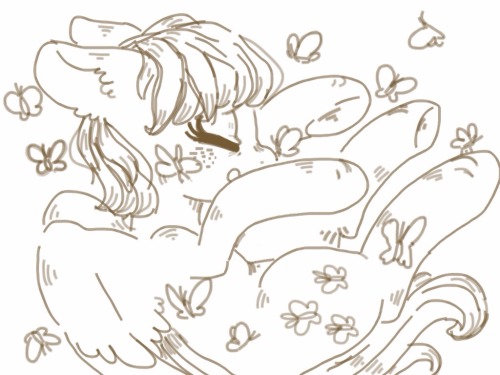 cutecherryblossom:Happy Place