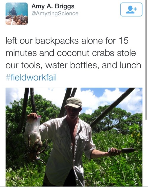 scienceshenanigans:  thejunglenook:  hyaenabee:  Guys, if you haven’t checked out the twitter #fieldworkfail tag yet, you probably should!  Left my clothes drying on the line overnight. Woke up to baboons fighting over my bra  ^^Oh my god.  