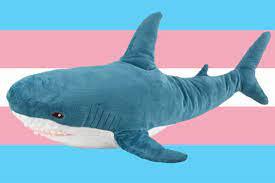 I Dont Know Why I Felt Like Pissing Off Some Terfs Tonight But It Was The Lords Work And Goodnight