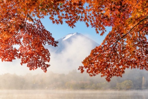 todayintokyo:Mount Fuji in autumn, from the Twitter account of @Takashi_LF   