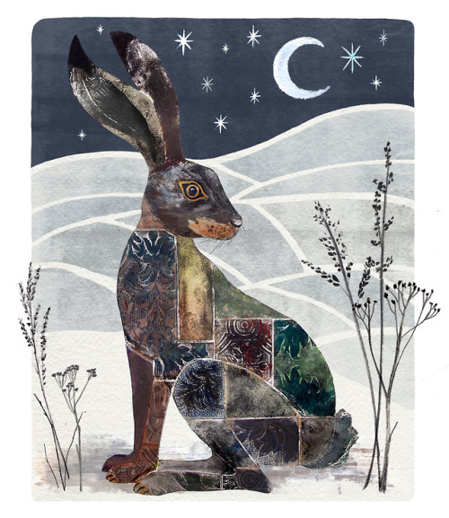 Winter Hare by Gordy Wright - prints here