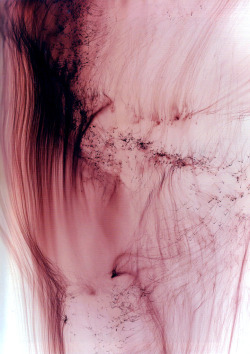 topcat77:Wolfgang Tillmans  German art photographer