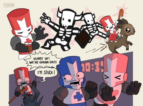 The Castle Crashers Experience