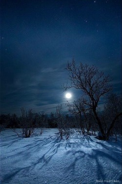 hammer-ov-thor: “Moon Shadows” by Arild Heitmann