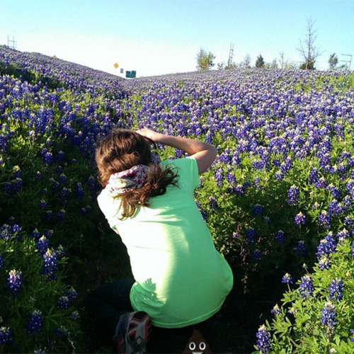 #poopingonbluebonnets