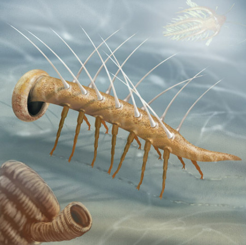 thatscienceguy:The Alien World of the CambrianIf you were to wake up one day and find yourself surro