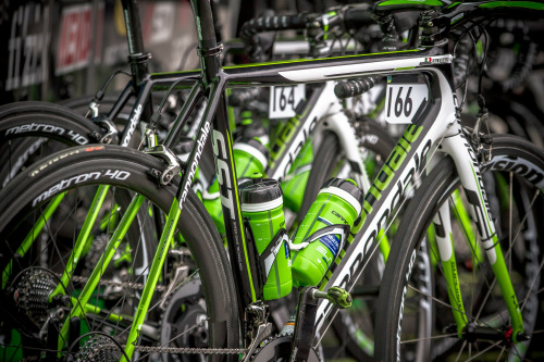 probike:greens da Flowizm …Christiano Salerno’s bike and others before the race. Grand Prix de Cycli