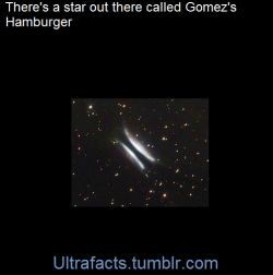 ultrafacts:  Gomez’s Hamburger is believed