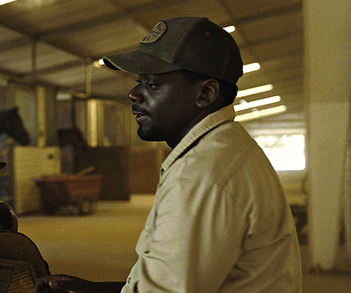 DANIEL KALUUYA As OJ HAYWOODNOPE (2022) Dir. Jordan Peele