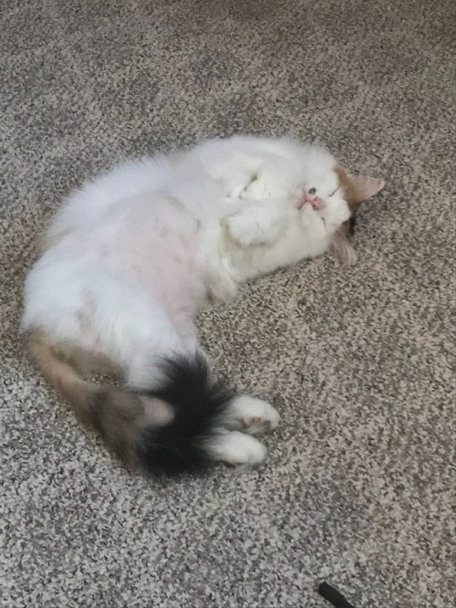 oatsmilk:her