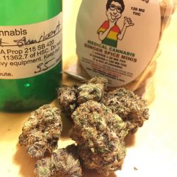 weedporndaily:  You can find our cookies