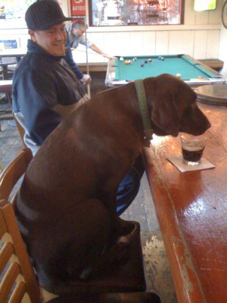 my-babys-guns-n-roses:  wombatactual:  @flyawaysoon  @rockytop-love - Sounder.