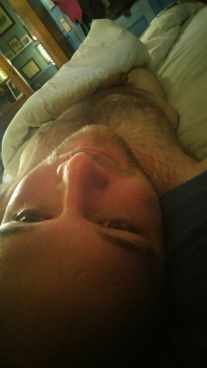 aussiebearcub:  Good Morning, I’m enjoying a nice Saturday sleep in 