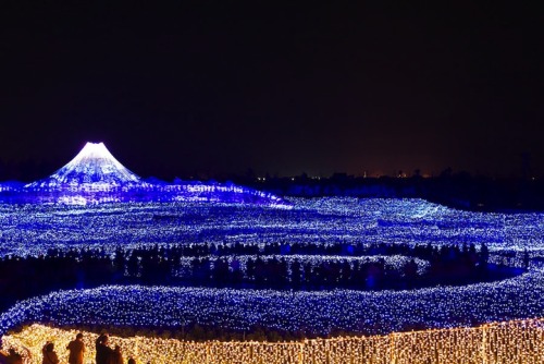 comfortably-lobotomized:  cubebreaker:  Japan’s Nabana no Sato Botanical Garden used over 7,000,000 LED lights to create this amazing tribute to nature featuring displays of rainbows, auroras, and Mt. Fuji.  whoa.. 