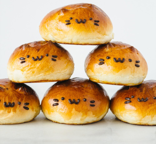 atmeal012:Cats anpan（ネコ あんぱん） Anpan is a round soft bread with azuki bean jam in its center.
