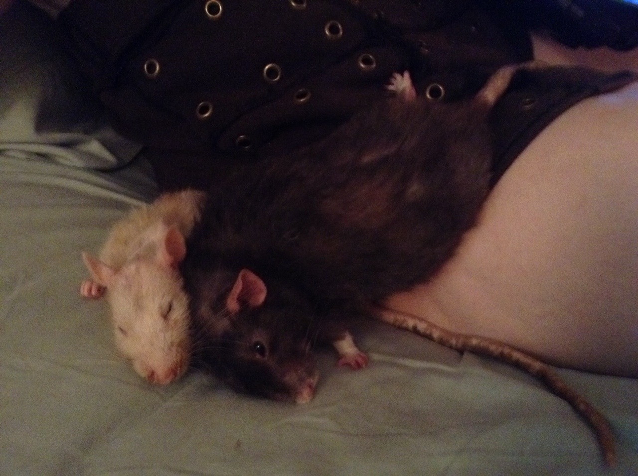 You cannot convince me that you&rsquo;re actually comfortable, Elanor.