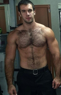 poiluportugay:  yummyhairydudes: 