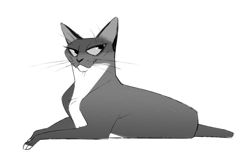 dailycatdrawings: 687: Black and White I feel like I should have put a bow tie on