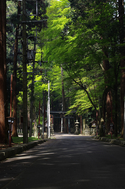 yuikki:K5IM4921 by jnk367 on Flickr.