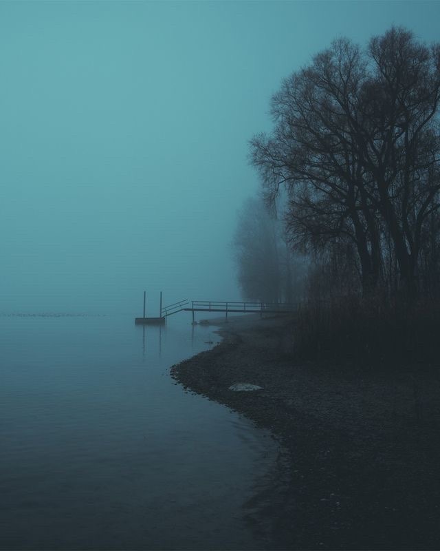 XXX limerencey:blue grey fog on a winter evening photo