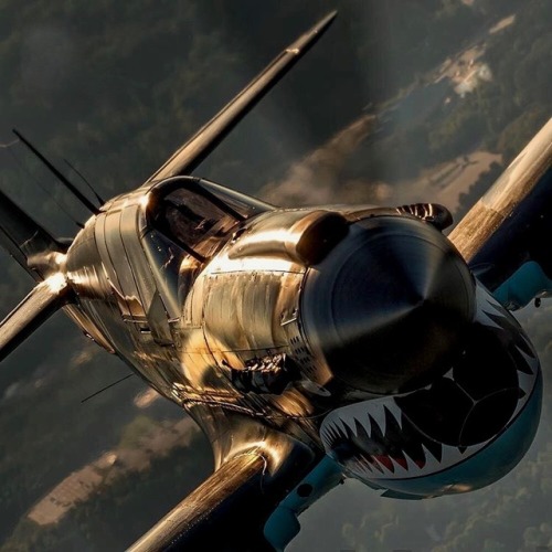 strangequarkuniverse:  Curtiss P-40 Warhawk