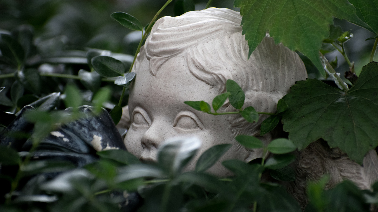 Tumblr Photo