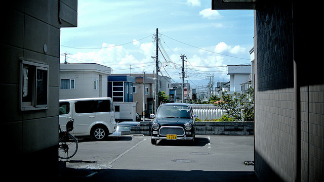 kuroyuki:  Summer. by MIKI Yoshihito (´･ω･) on Flickr.