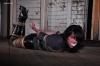 XXX bondagehedgehog:Dixie Comet photo