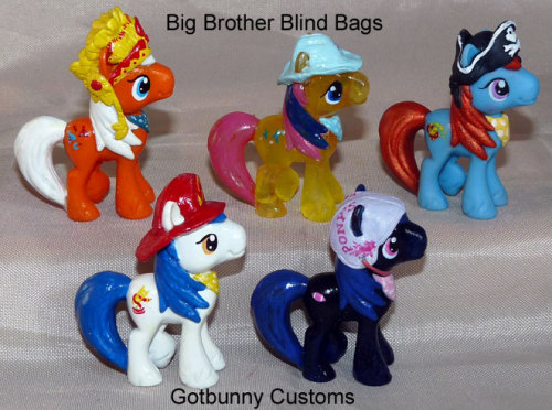 rainbowofponies:Big Brother Blind Bag MLP Customs by ~gotbunny