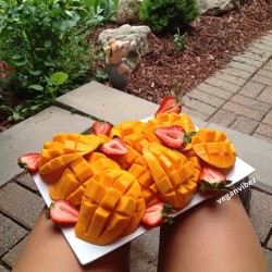 veganvibez:  Breakfast is served {8 mangoes