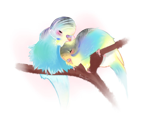 I was a little bored and saw this adorable photo of two parakeets here on Tumblr and I just really w