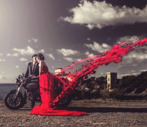 Sexy Motors and Lifestyle