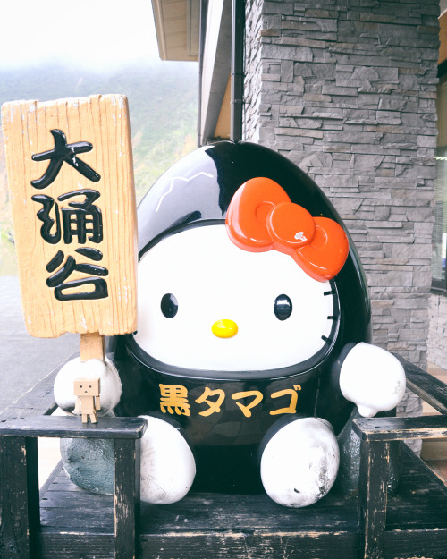 My Little Danboru presents: Journey to Japan, Touring Tokyo First on the itinerary was 1-Day Mt. Fuj