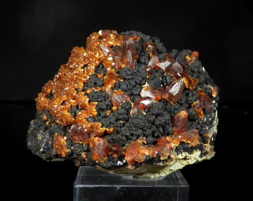 hematitehearts: Rhodochrosite on PyrolusiteLocality: Uchucchacua Mine, Lima Department, Peru Size: 9