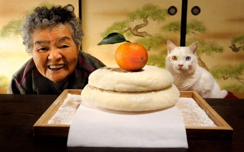 Nine years ago, Japanese photographer Miyoko Ihara began snapping pictures of the relationship between her grandmother and her odd-eyed white cat. Miyoko’s grandma Misao found the abandoned cat in a shed on her land and the pair have barely been apart